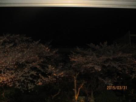IMG_2691.JPG